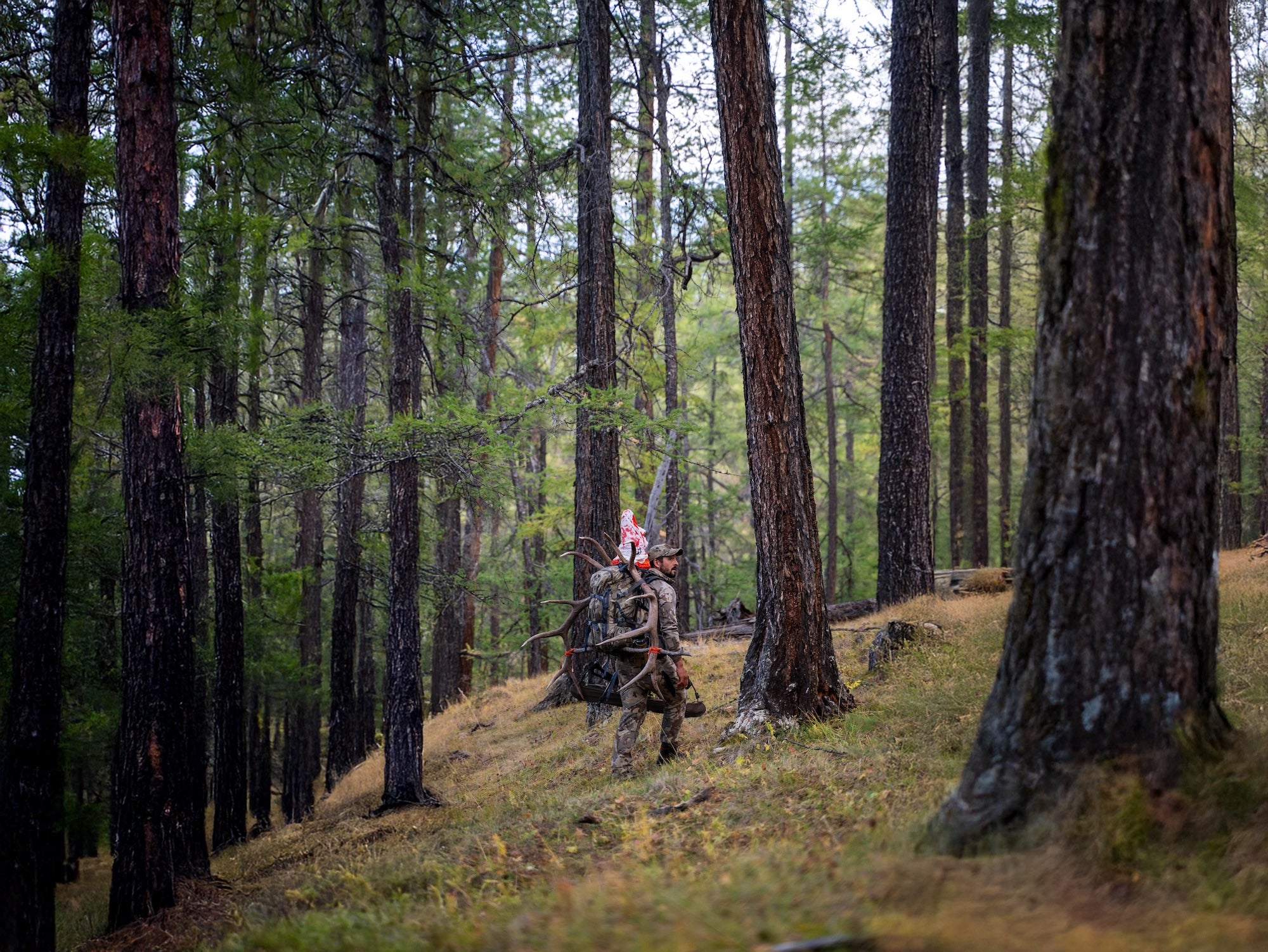 Strength – Wilderness Athlete