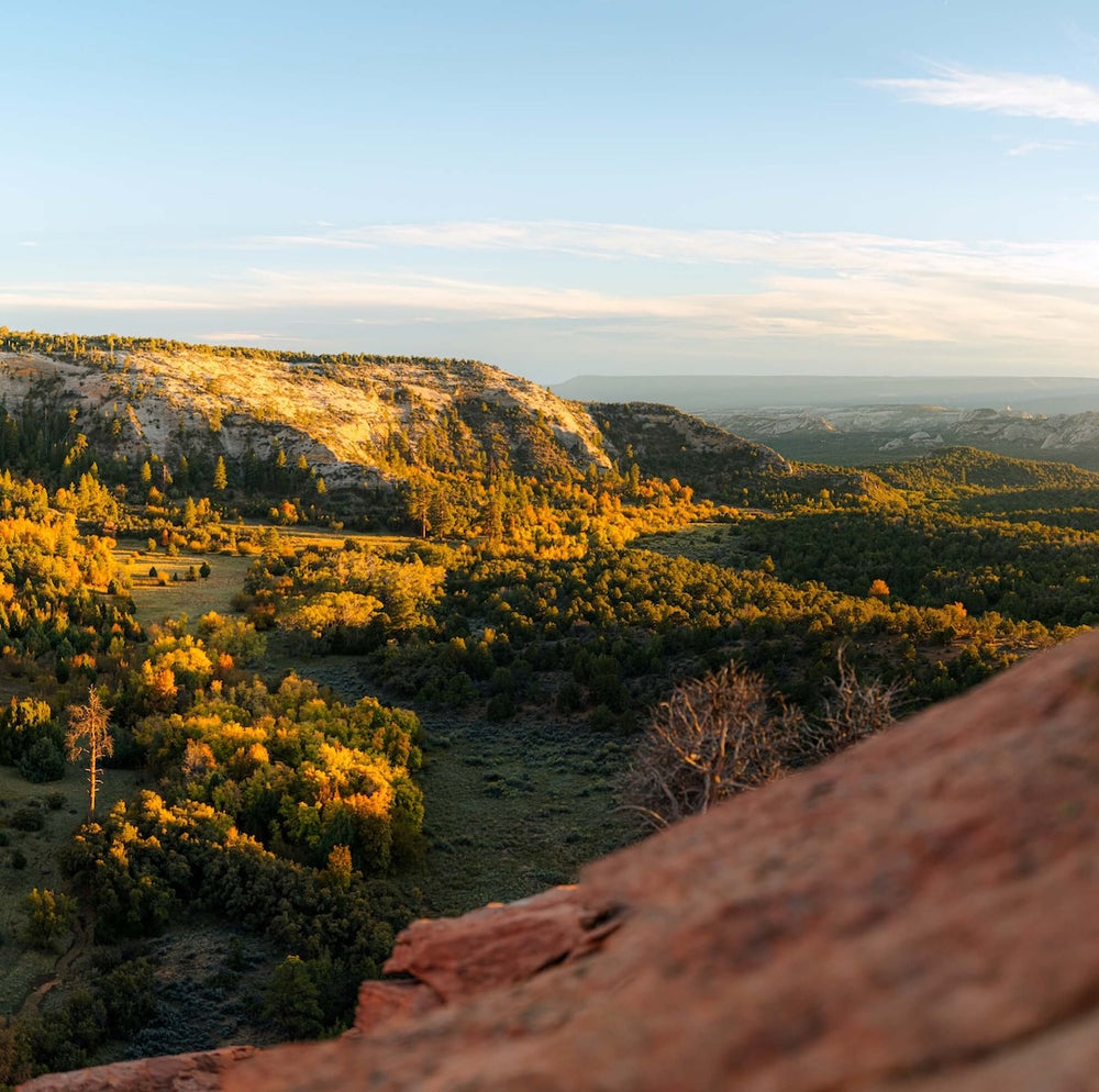 Wilderness Athlete nutrition and sports performance product formulations - At Ease