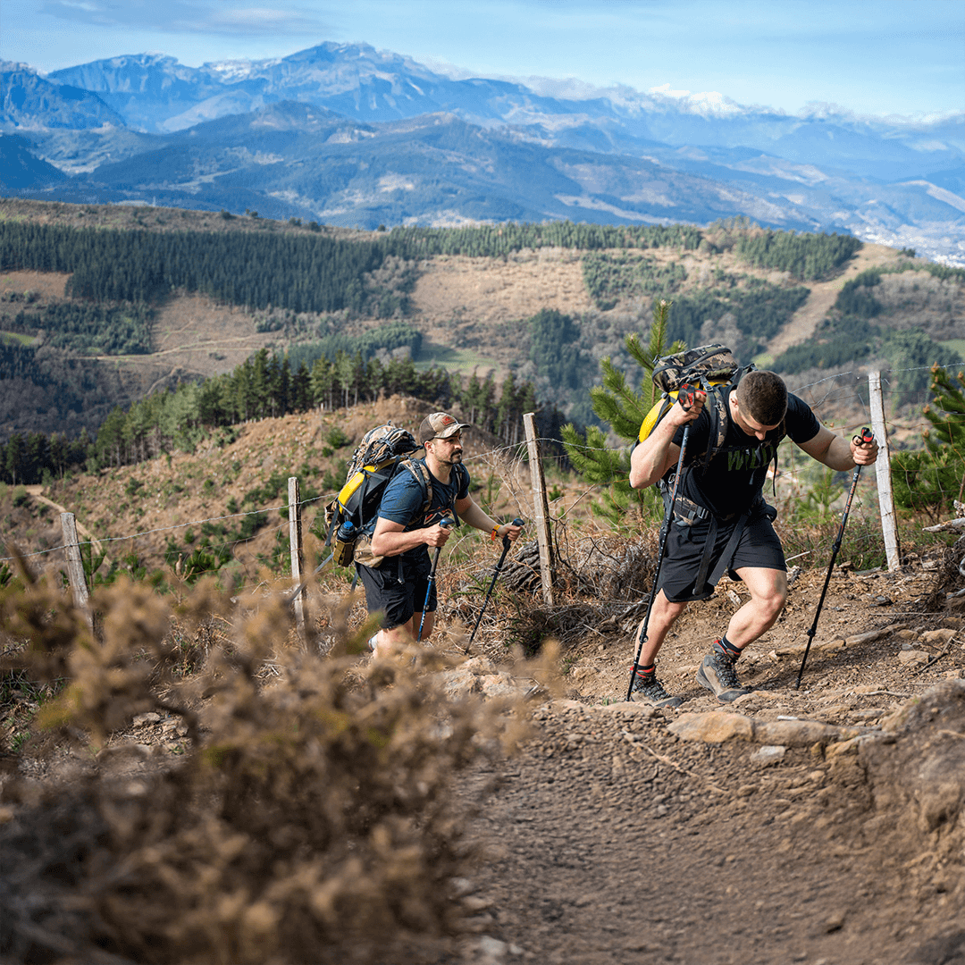 Wilderness Athlete nutrition and sports performance product formulations - Brute Force