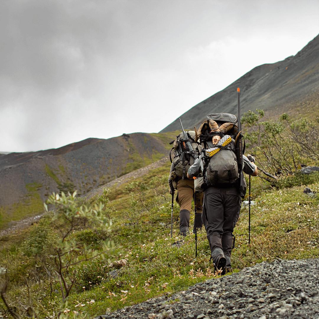 Wilderness Athlete nutrition and sports performance product formulations - Collagen Peptides