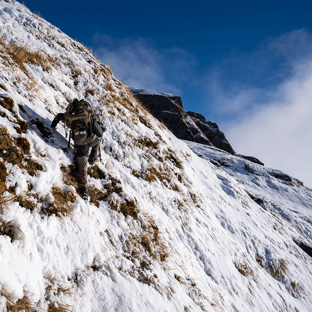 Wilderness Athlete nutrition and sports performance product formulations - Energy & Focus