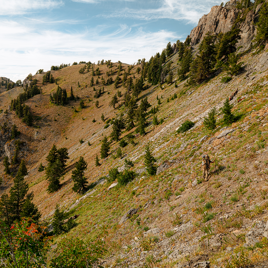 Wilderness Athlete nutrition and sports performance product formulations - Hydrate & Recover