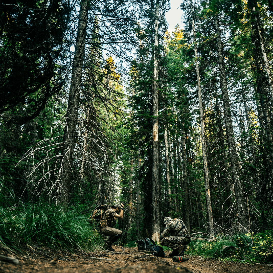 Wilderness Athlete nutrition and sports performance product formulations - Joint Advantage