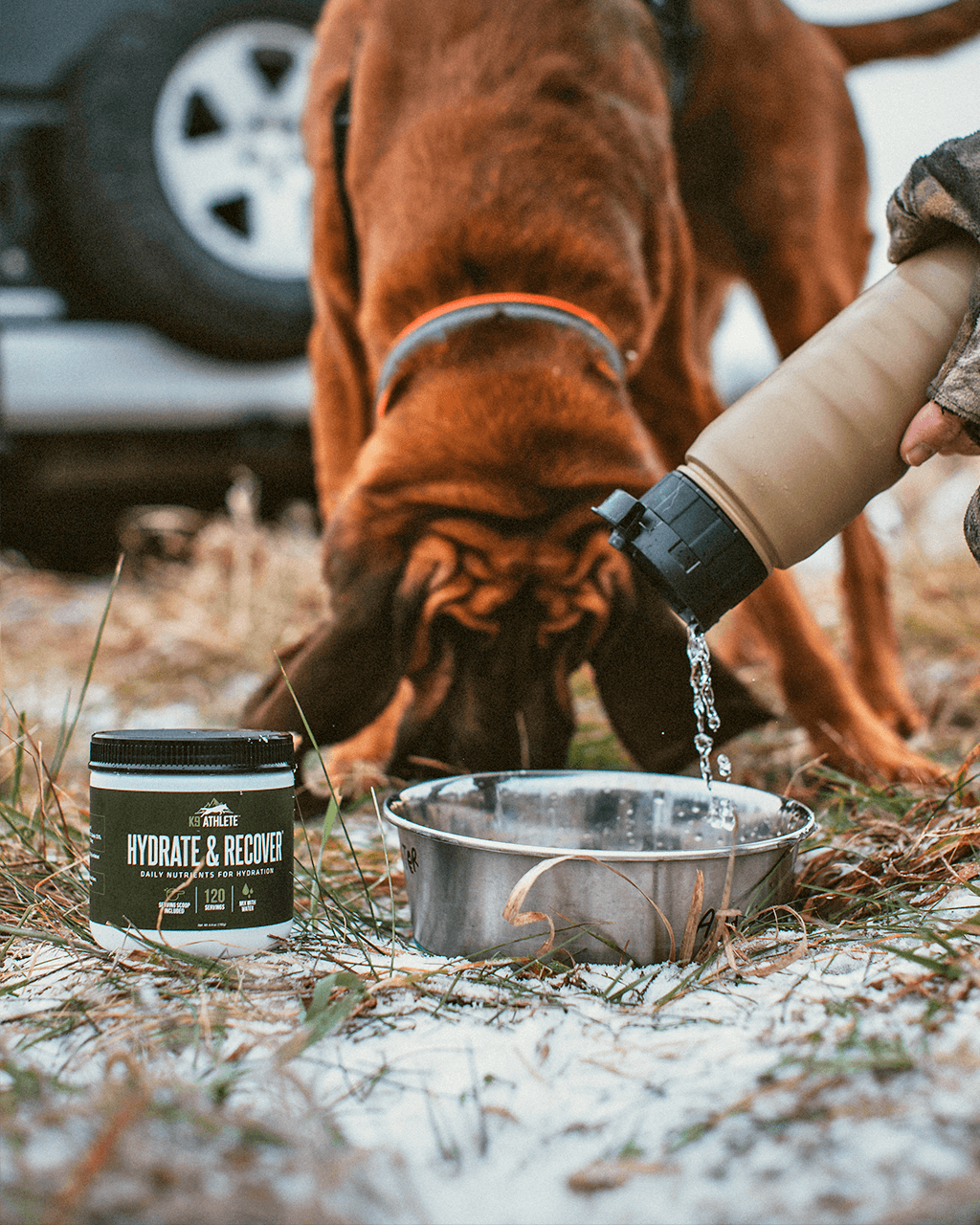 K9 Athlete® Hydrate & Recover