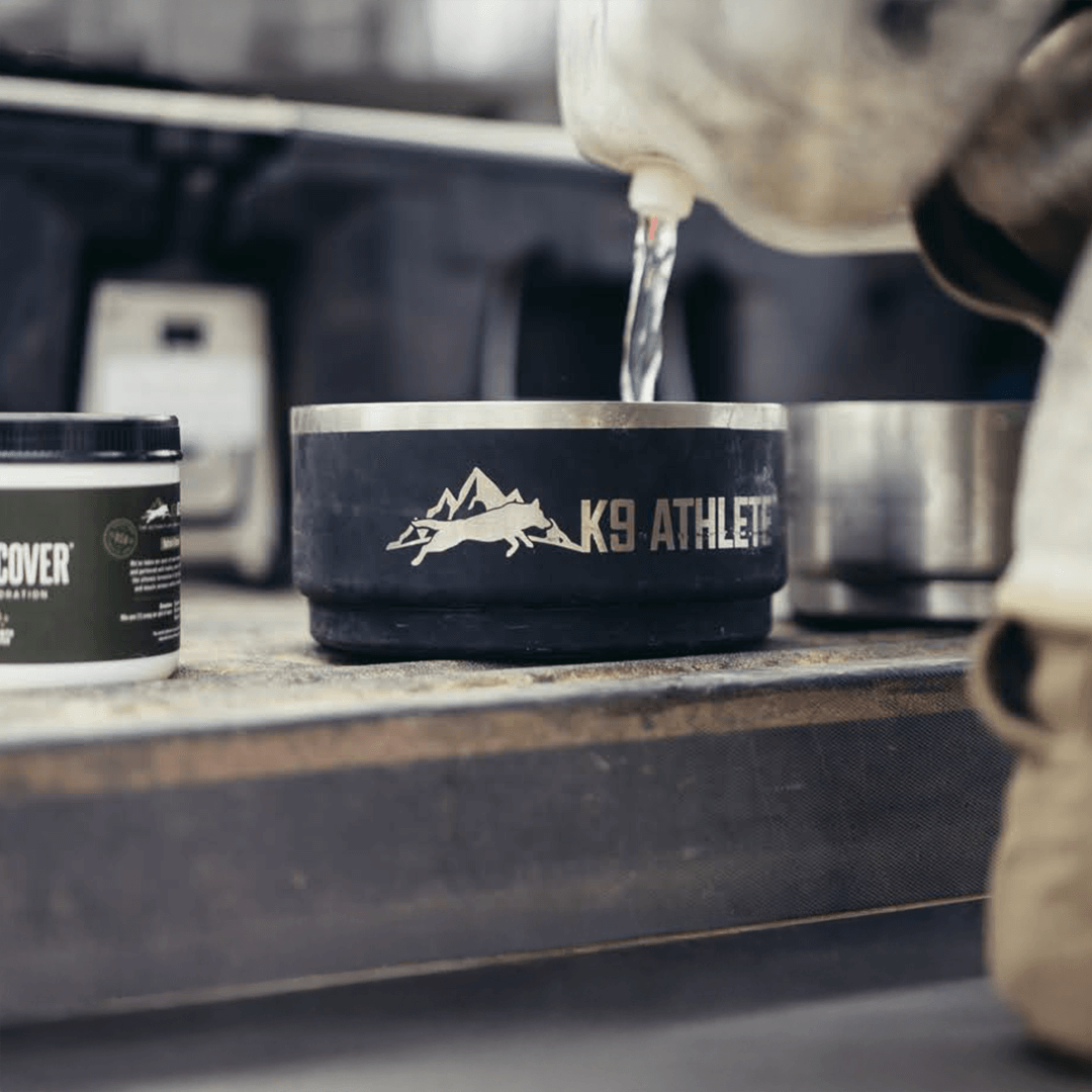 Wilderness Athlete nutrition and sports performance product formulations - K9 Hydrate & Recover