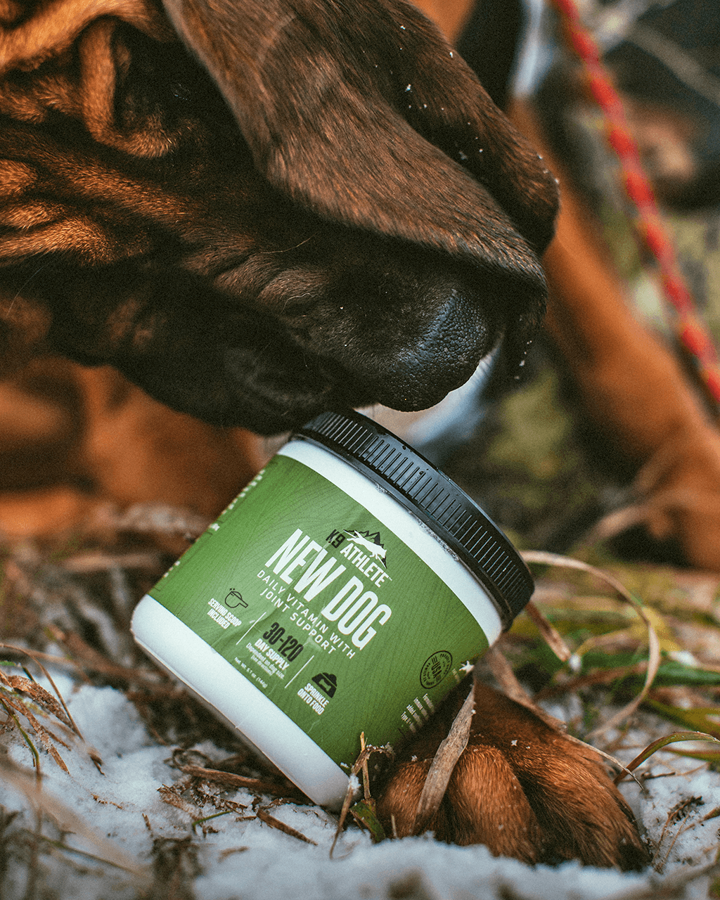 K9 Athlete® New Dog