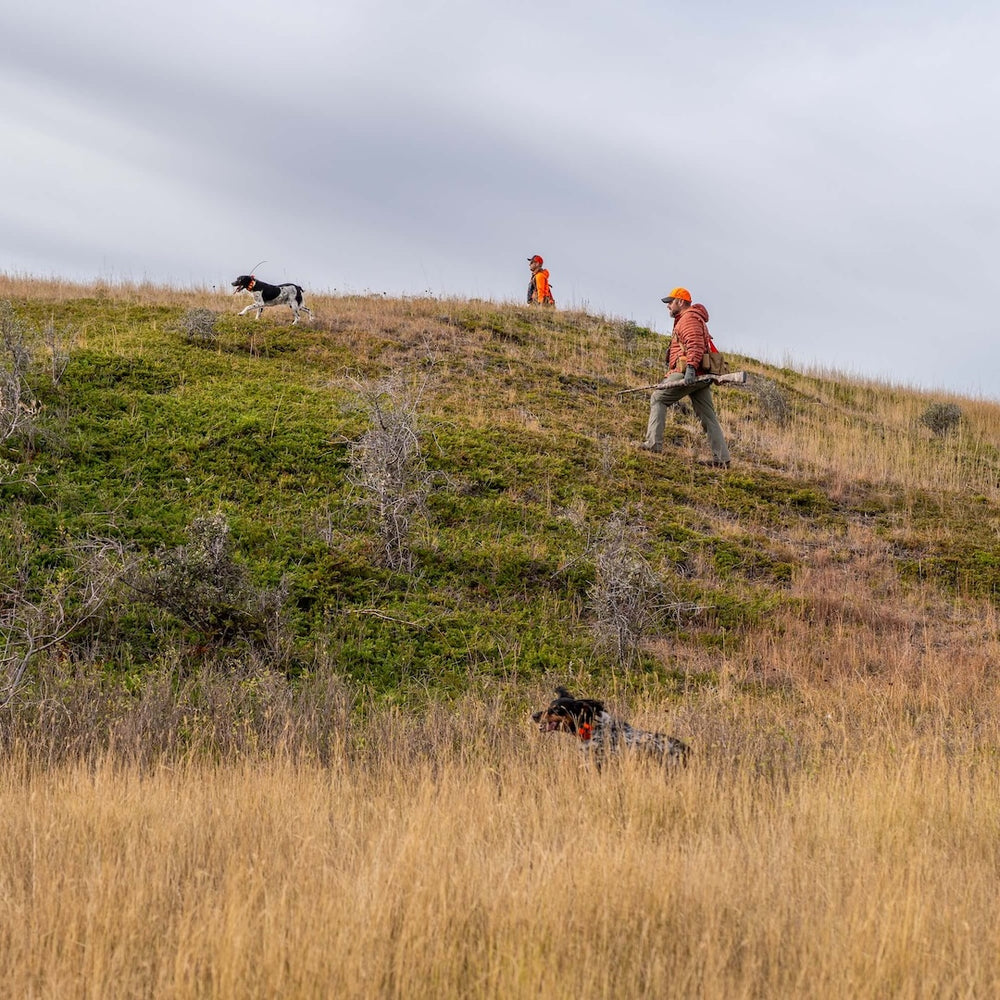 Wilderness Athlete nutrition and sports performance product formulations - K9 New Dog