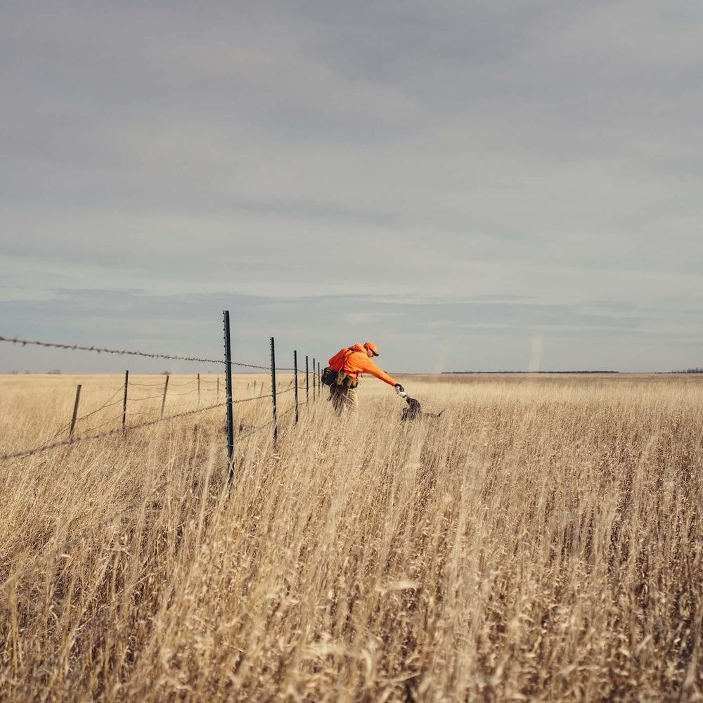 Wilderness Athlete nutrition and sports performance product formulations - K9 Pro