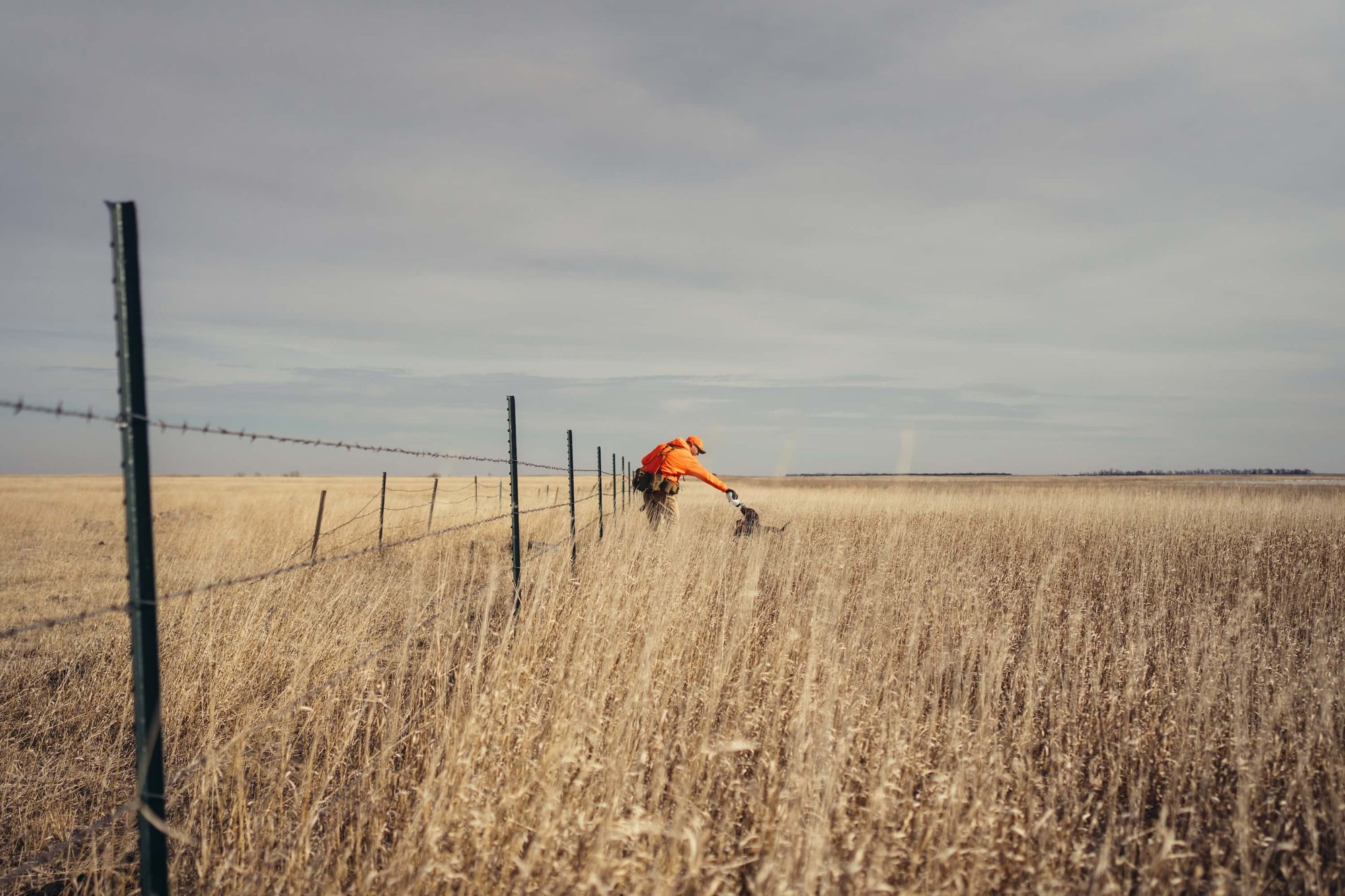 Wilderness Athlete nutrition and sports performance product formulations - K9 Pro