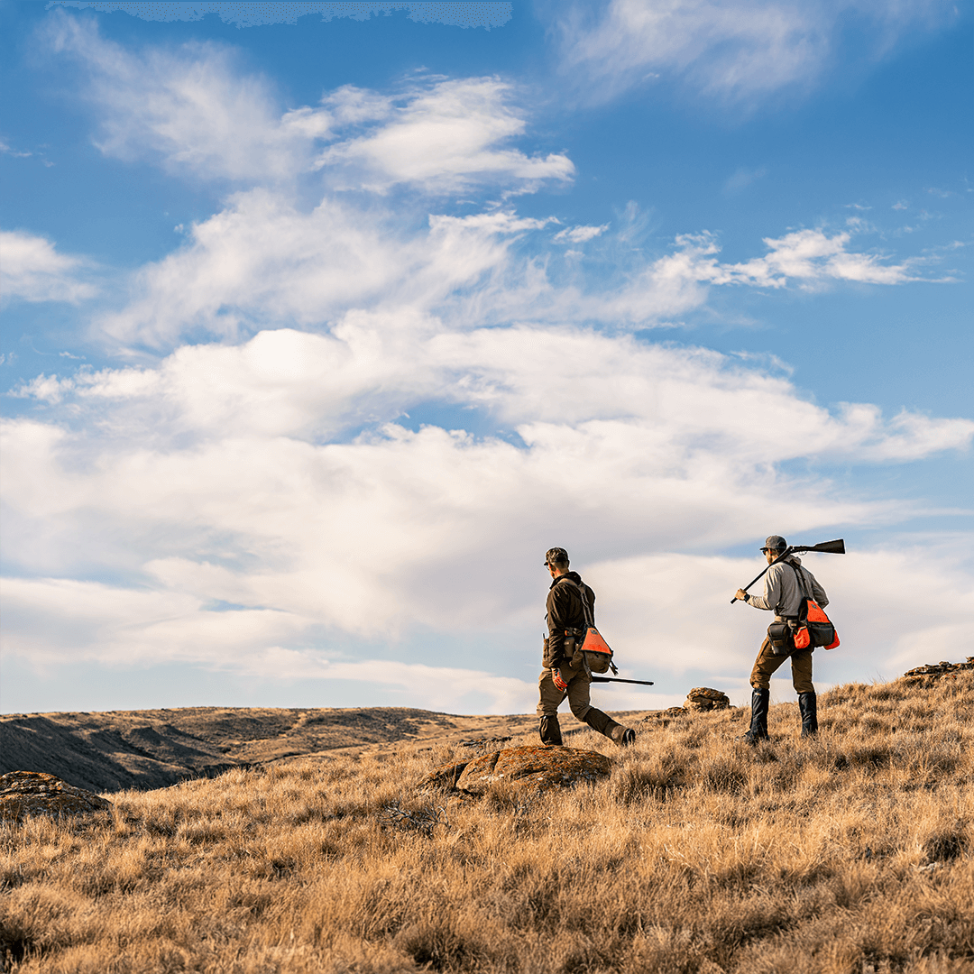 Wilderness Athlete nutrition and sports performance product formulations - High Performance Multi-Vitamin