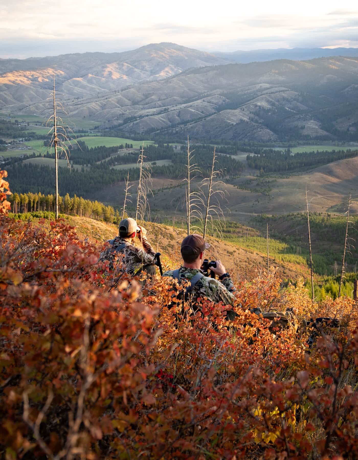 Wilderness Athlete nutrition and sports performance product formulations - Precision Vision