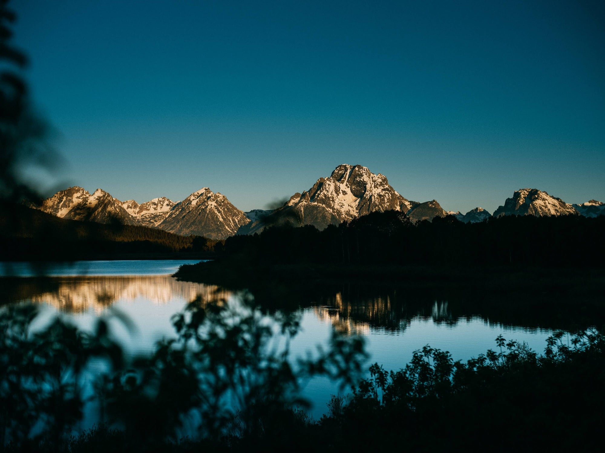 Wilderness Athlete nutrition and sports performance product formulations - Precision Vision