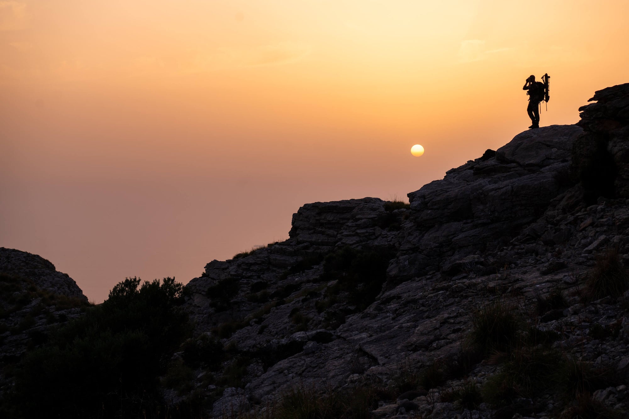 Wilderness Athlete nutrition and sports performance product formulations - Wild C8 MCT Powder