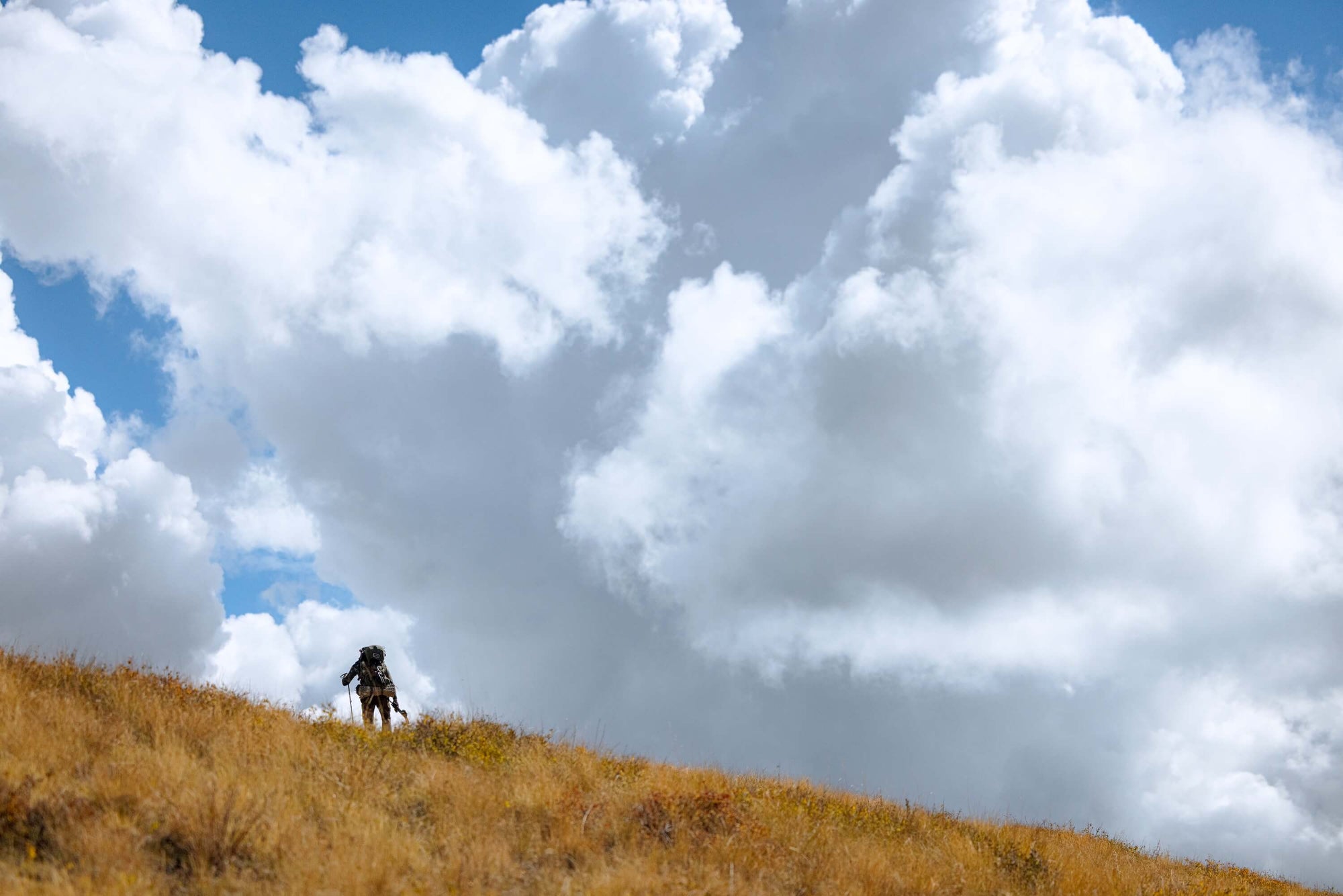 Wilderness Athlete nutrition and sports performance product formulations - Daily Strength