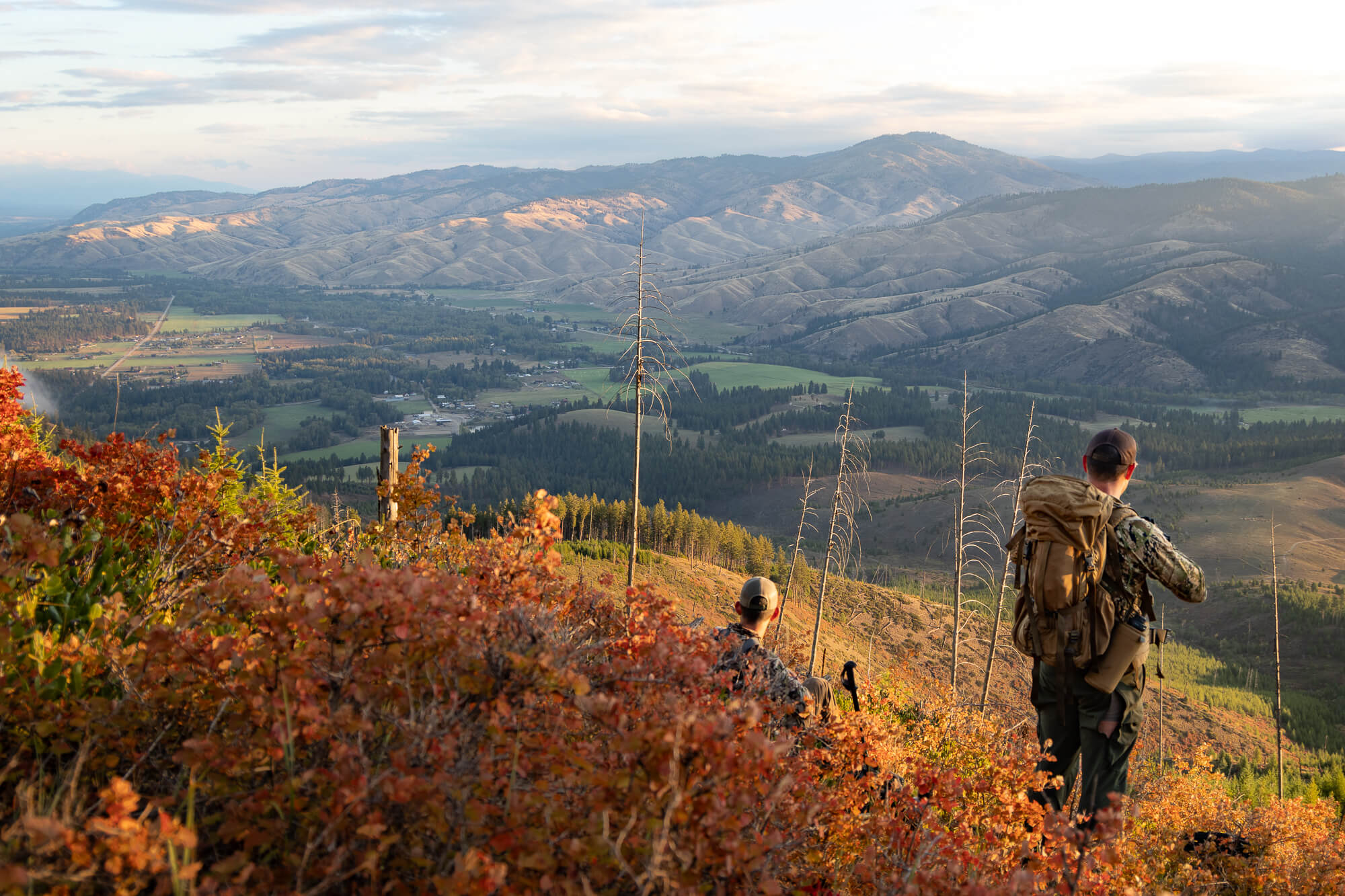 Wilderness Athlete nutrition and sports performance product formulations - Edge