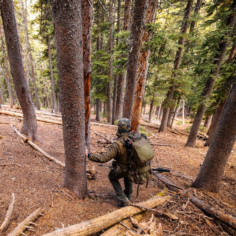 Wilderness Athlete nutrition and sports performance product formulations - Daily Strength