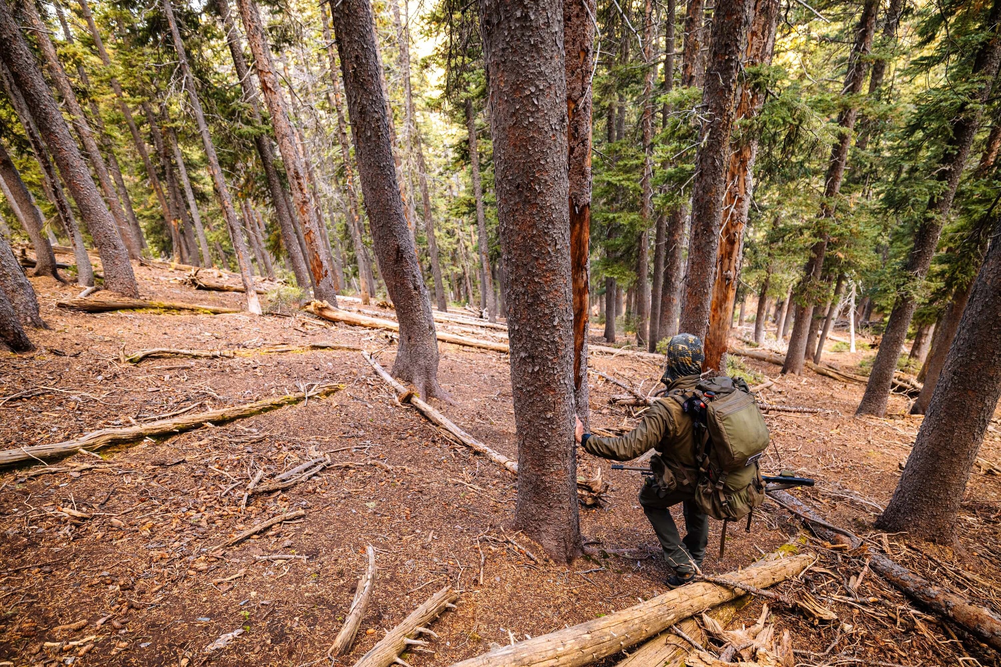 Wilderness Athlete nutrition and sports performance product formulations - Daily Strength