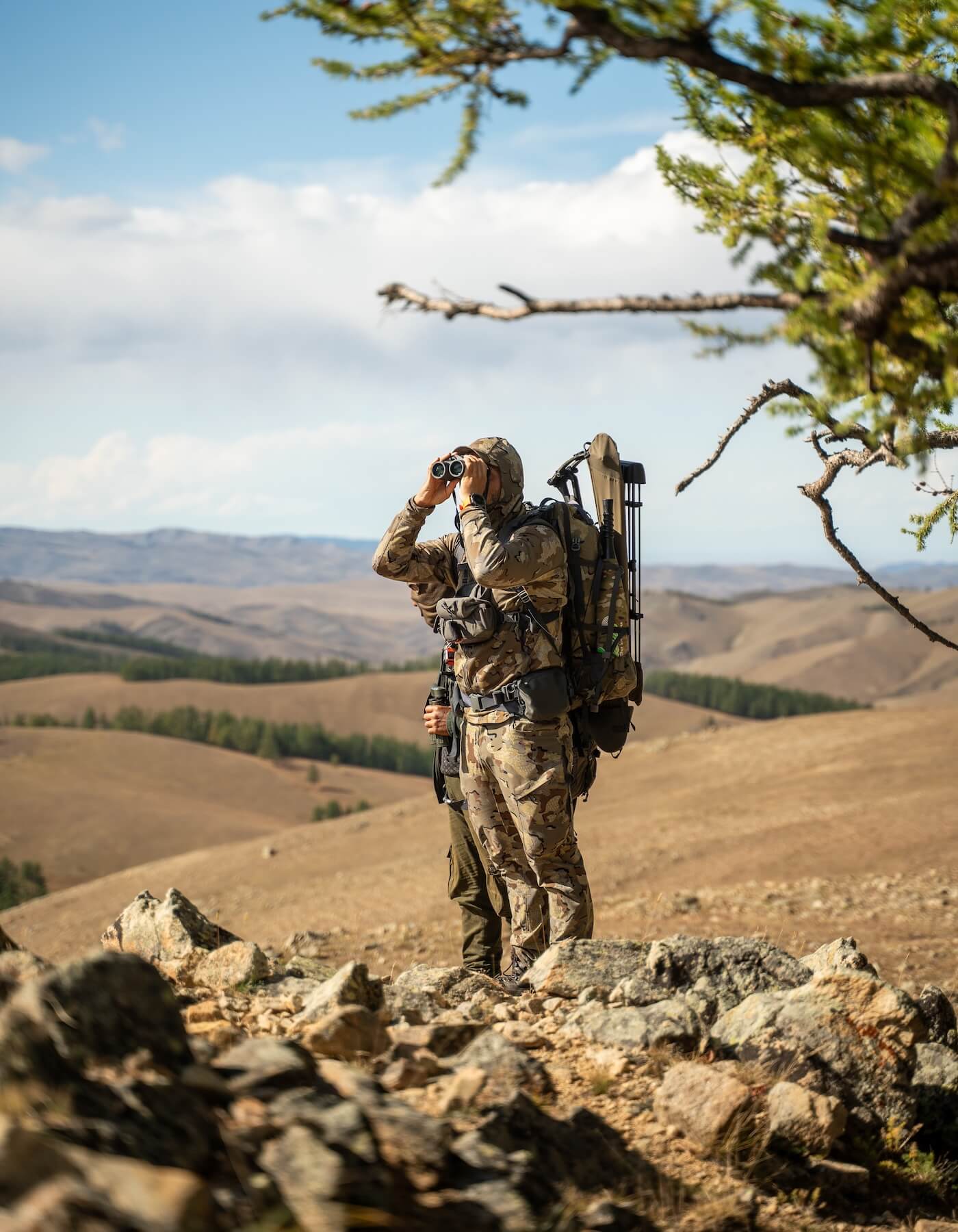 Wilderness Athlete nutrition and sports performance product formulations - Immunity