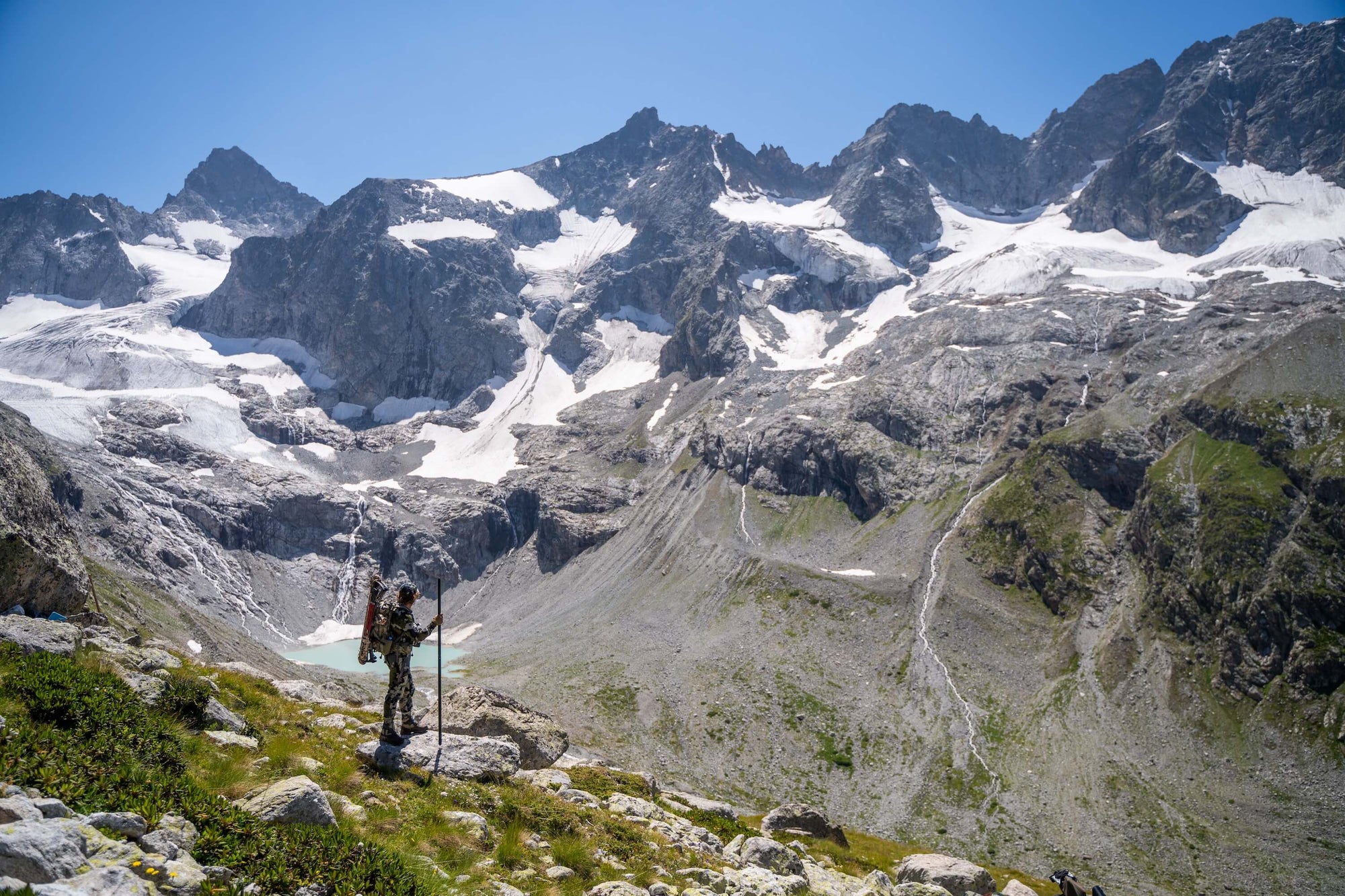 Wilderness Athlete nutrition and sports performance product formulations - Immunity