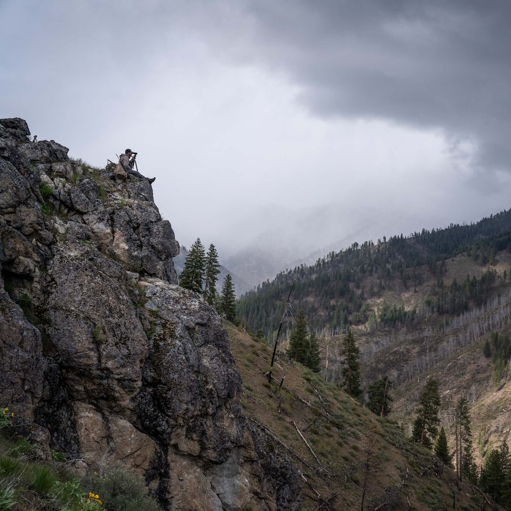 Wilderness Athlete nutrition and sports performance product formulations - Joint Advantage