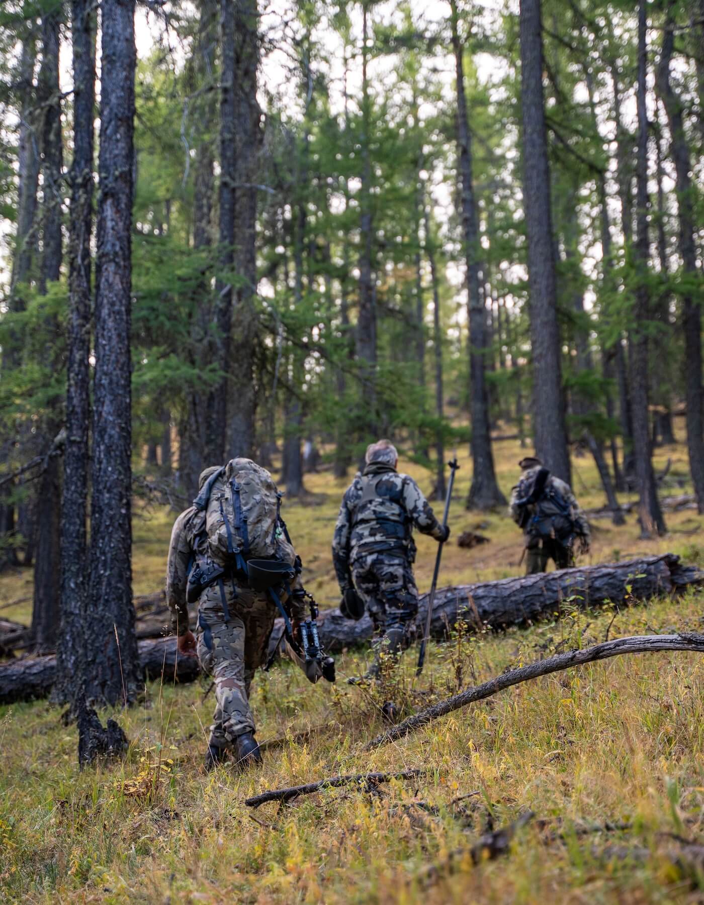 Wilderness Athlete nutrition and sports performance product formulations - Lean Life