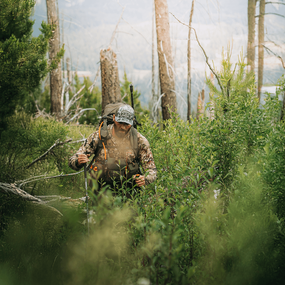 Wilderness Athlete nutrition and sports performance product formulations - Probiotic