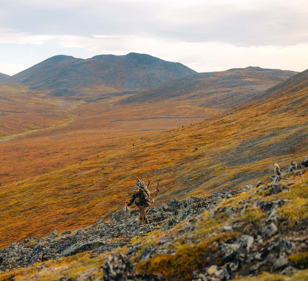 Wilderness Athlete nutrition and sports performance product formulations - Probiotic