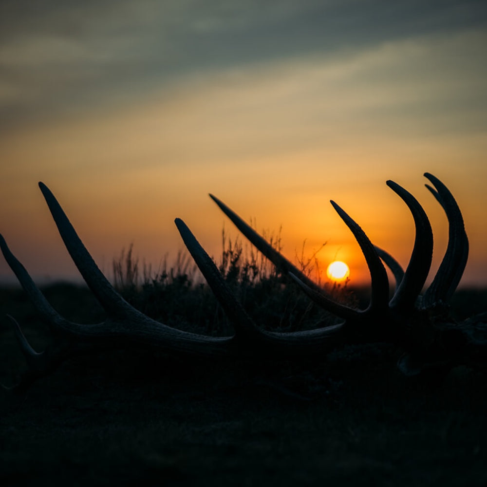 Wilderness Athlete nutrition and sports performance product formulations - Unplug