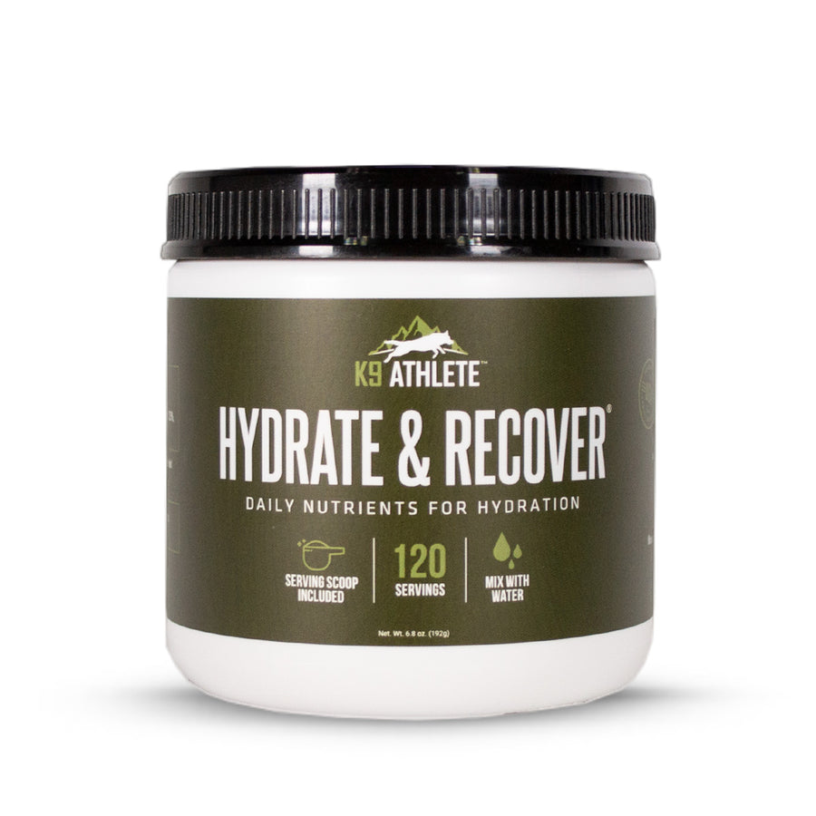K9Athlete® Hydrate & Recover